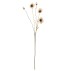 Stilk Poppy natur, kunstig - Bloomingville - H: 104 cm