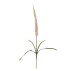 Foxtail stilk rosa, kunstig - Bloomingville - H: 73 cm