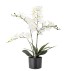 Orkidé plante m/ hvide blomster, kunstig - Bloomingville - H: 84 cm