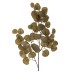 Stilk kunstig Eucalyptus brun - Bloomingville - H: 86 cm